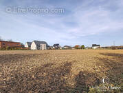 Terrain à DRUSENHEIM