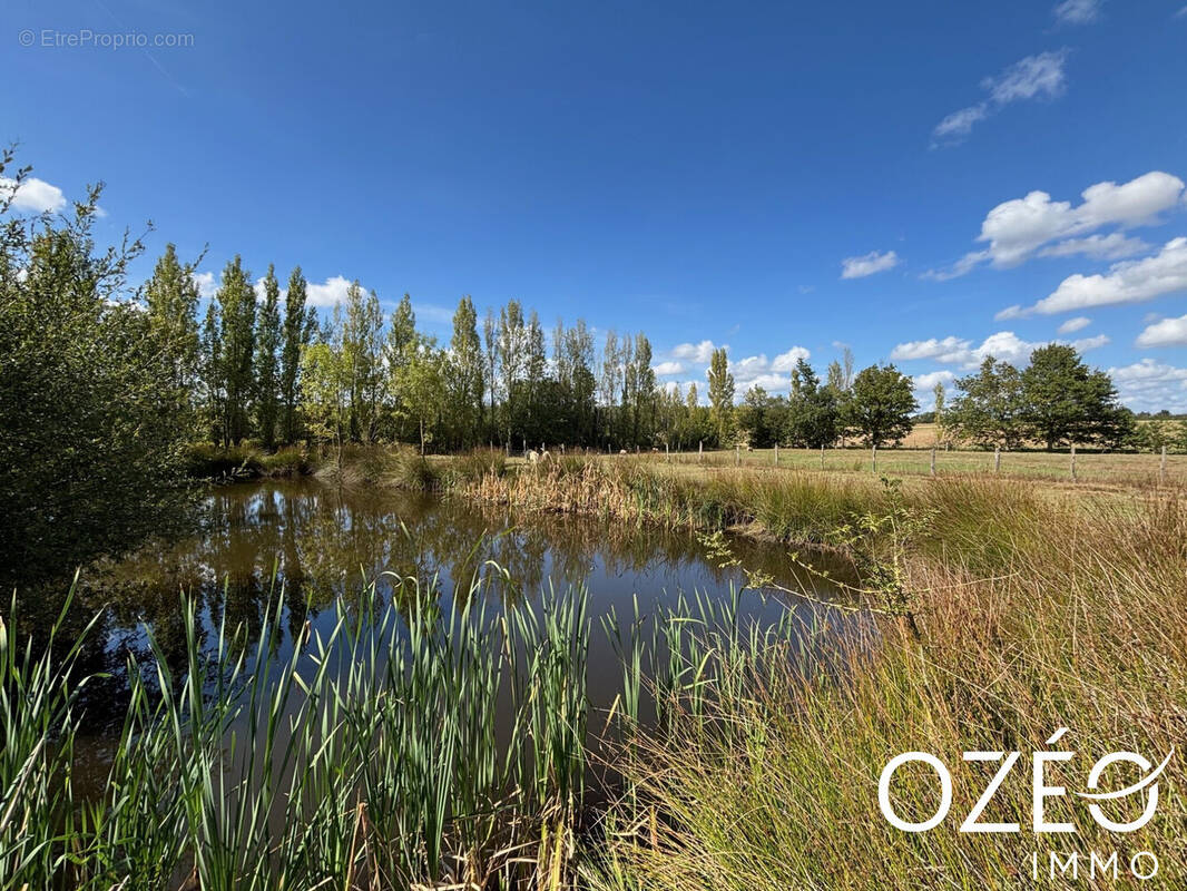 Maison à LA ROUXIERE