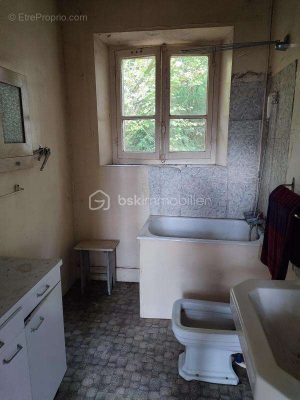 Maison à THORIGNY-SUR-OREUSE