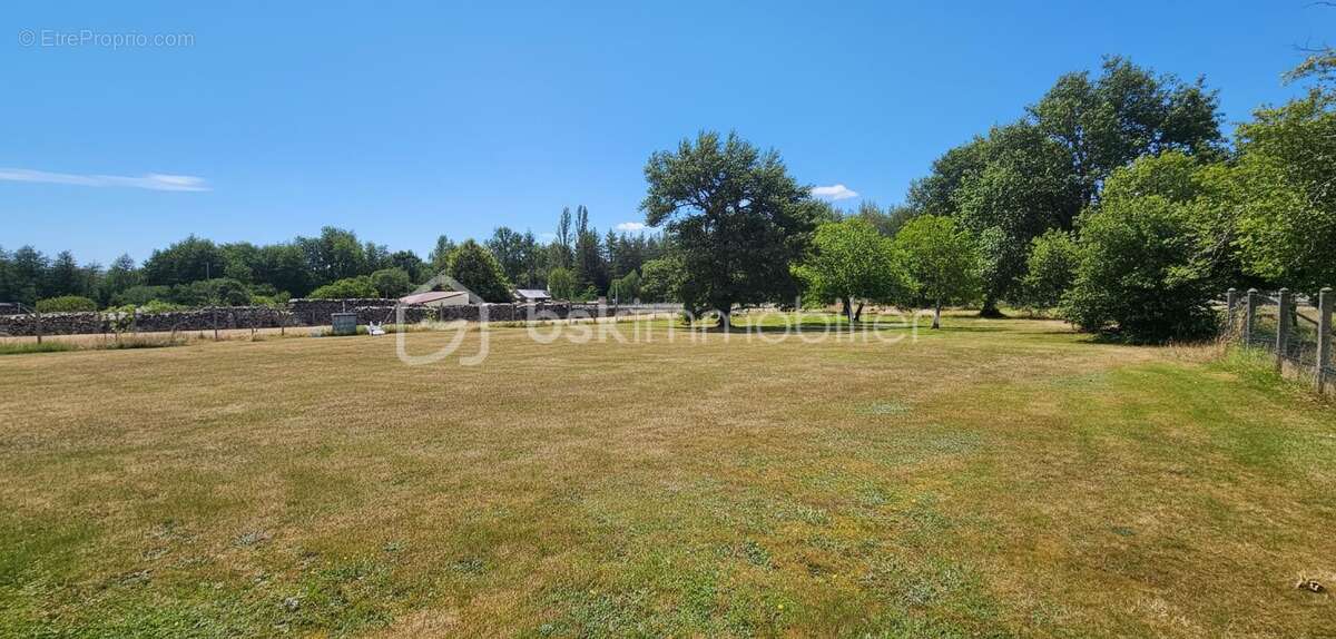  terrain de loisirs de 3 733 m² – un véritable havre de paix aux multiples possibilités  - photo 2