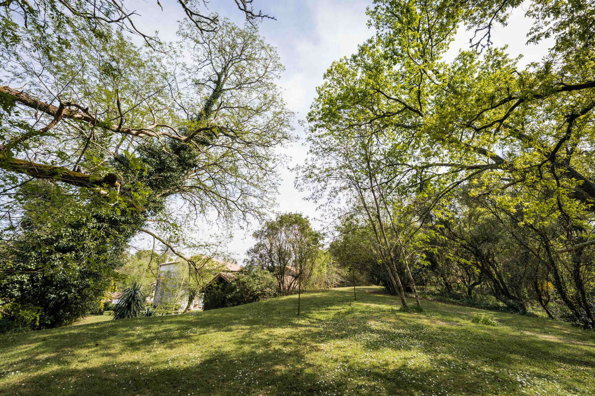 Maison à BELIN-BELIET