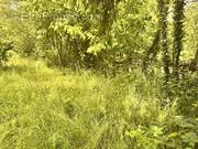 Terrain à ARC-SUR-TILLE