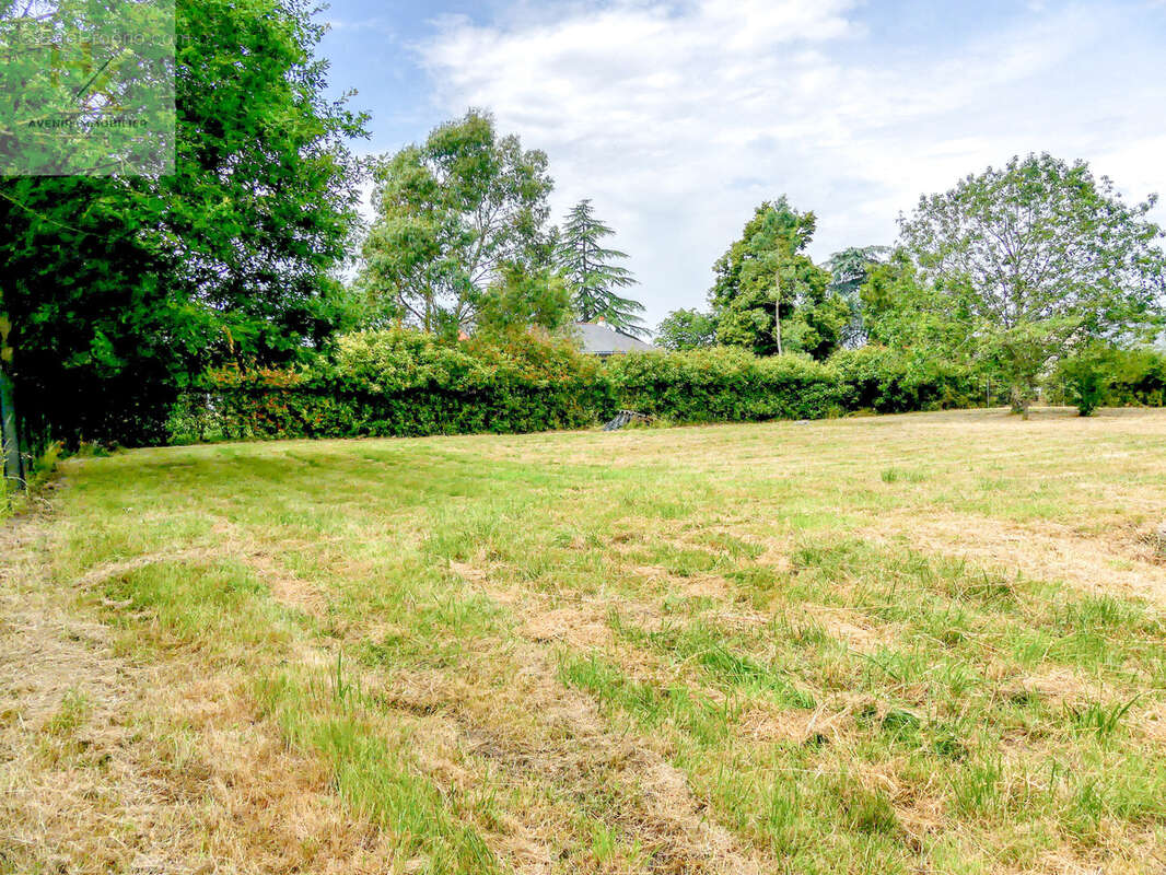 Terrain constructible - photo 2