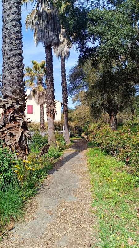 Maison à BORMES-LES-MIMOSAS