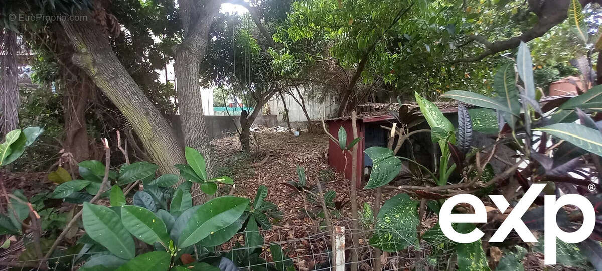 Terrain à LE TAMPON