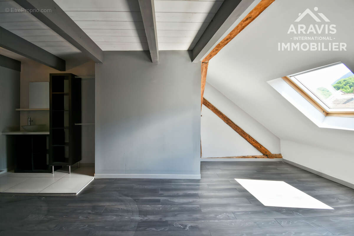Appartement à SEYTHENEX