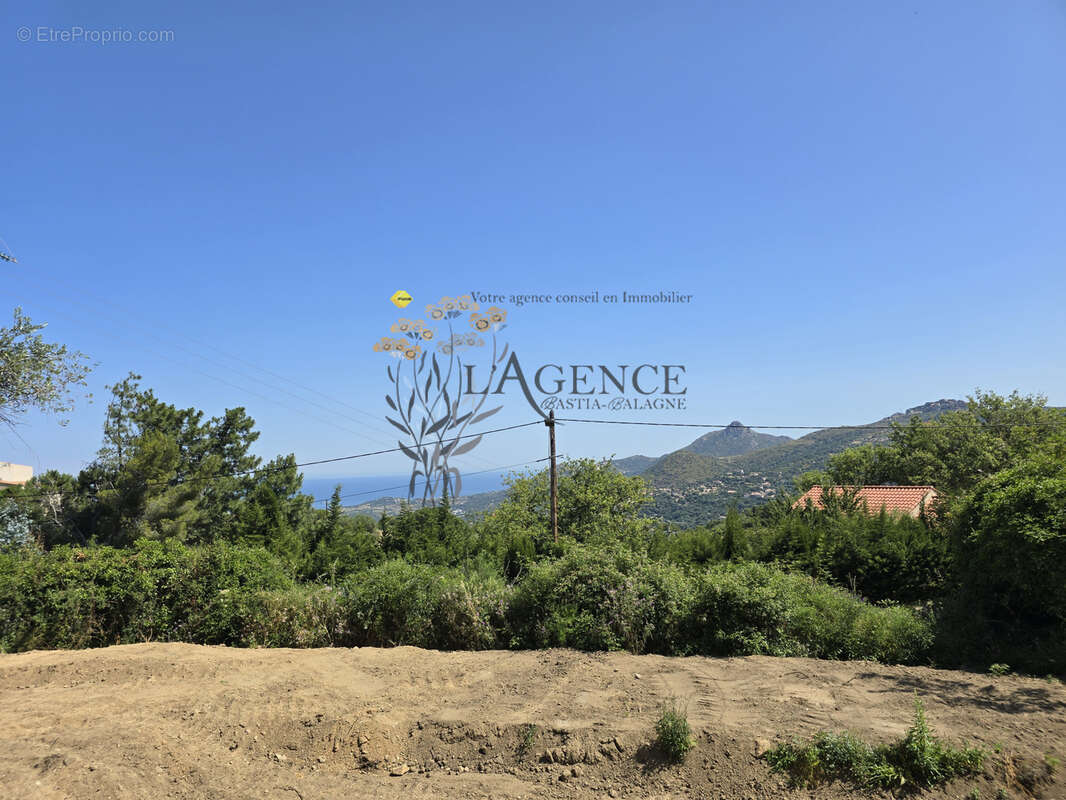 Terrain à LAVATOGGIO