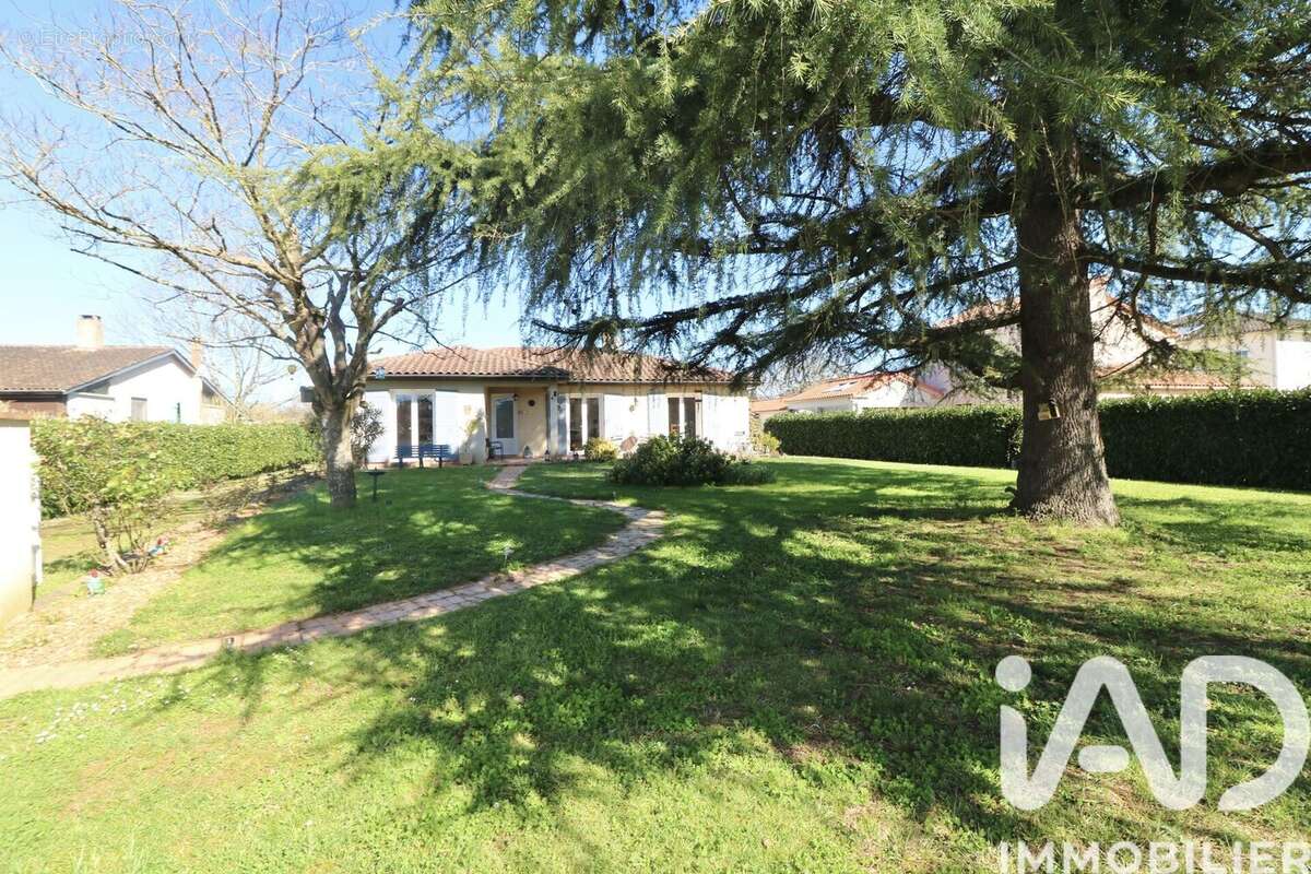 Photo 3 - Maison à MONTAYRAL