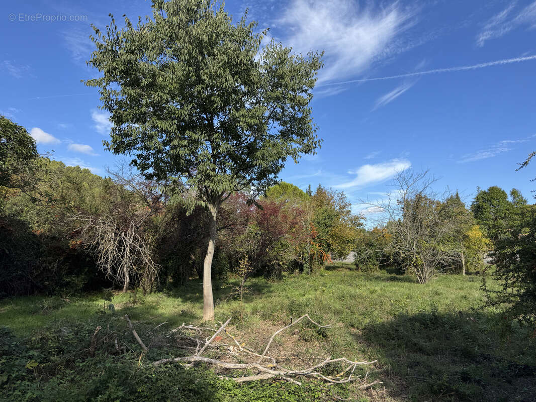 Terrain à CARNOULES