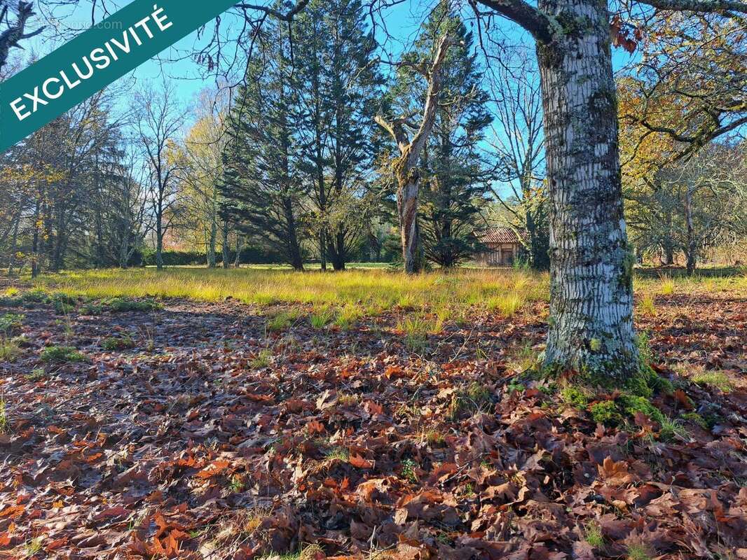 Photo 4 - Maison à SORE