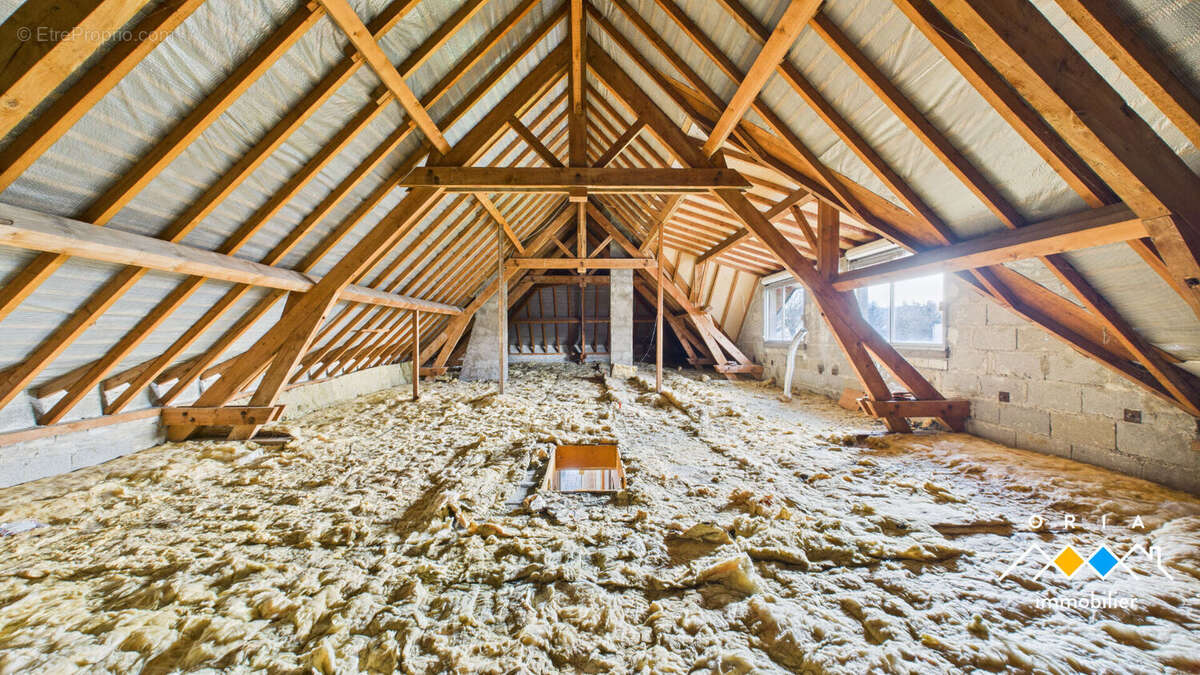 Maison à BRIN-SUR-SEILLE