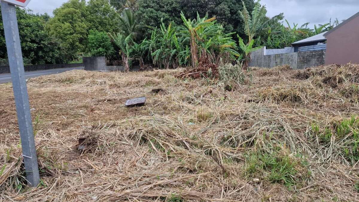 Terrain à SAINT-BENOIT