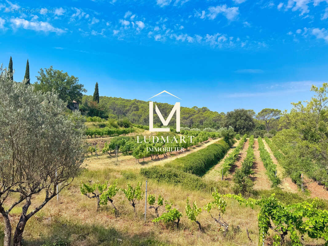 Lorgues   Domaine provençal de 11 hectares avec deux maisons indépendantes, deux piscines, vignoble AOP et oliveraie - photo 13