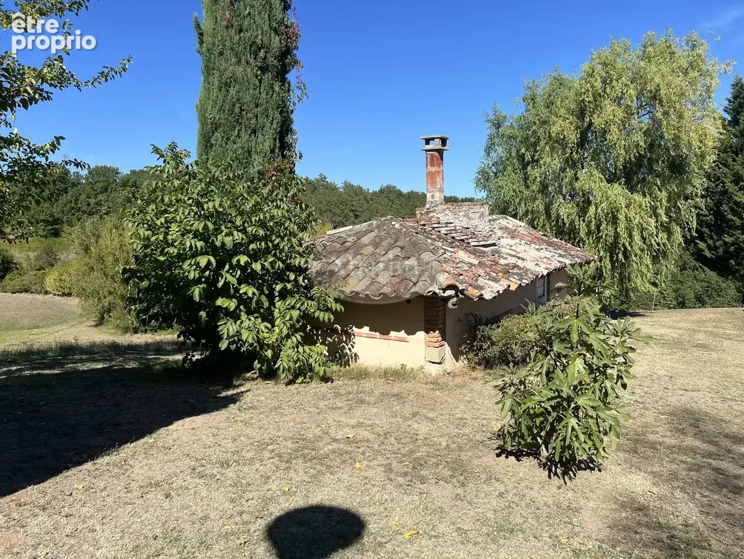 Très Beau Domaine 10ha - photo 34