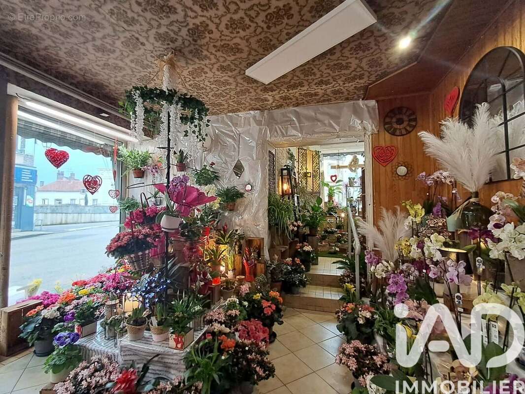 Photo 3 - Appartement à BRIENON-SUR-ARMANCON