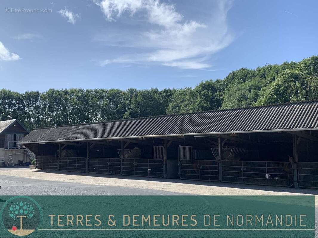 Dans le département de l'EURE, entre LIEUREY et PONT AUDEMER, A vendre en exclusivité un haras de 25 ha - photo 11