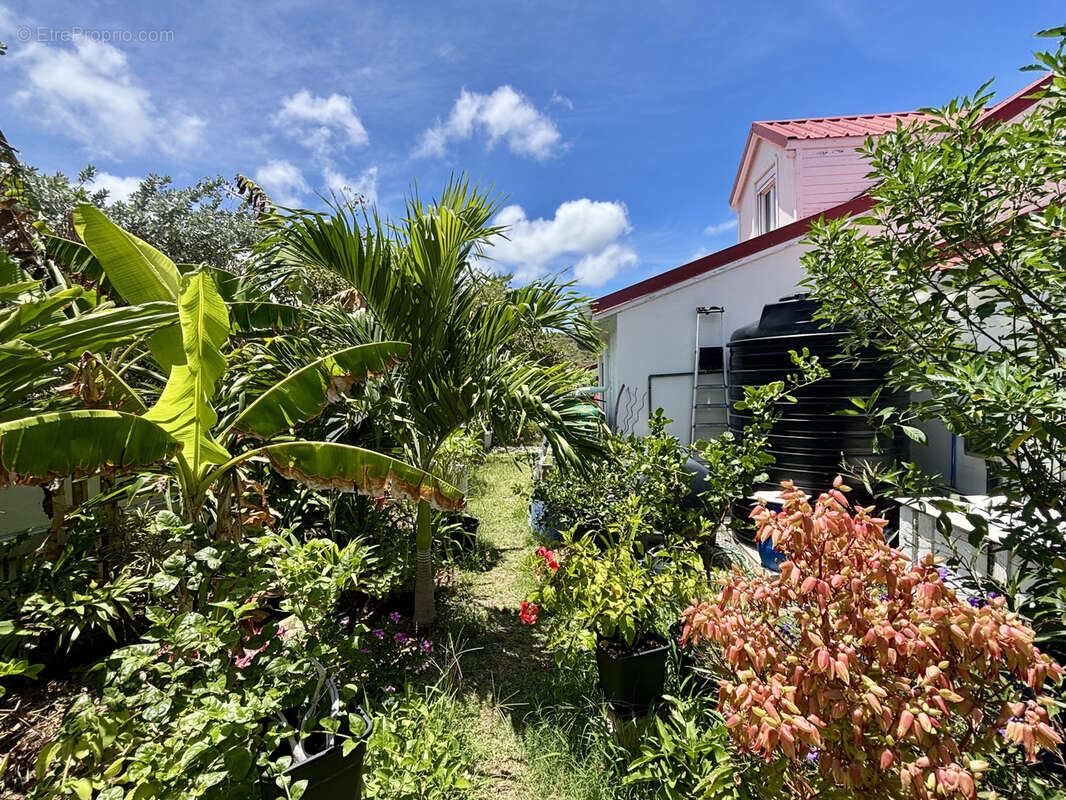 Maison à SAINT-MARTIN