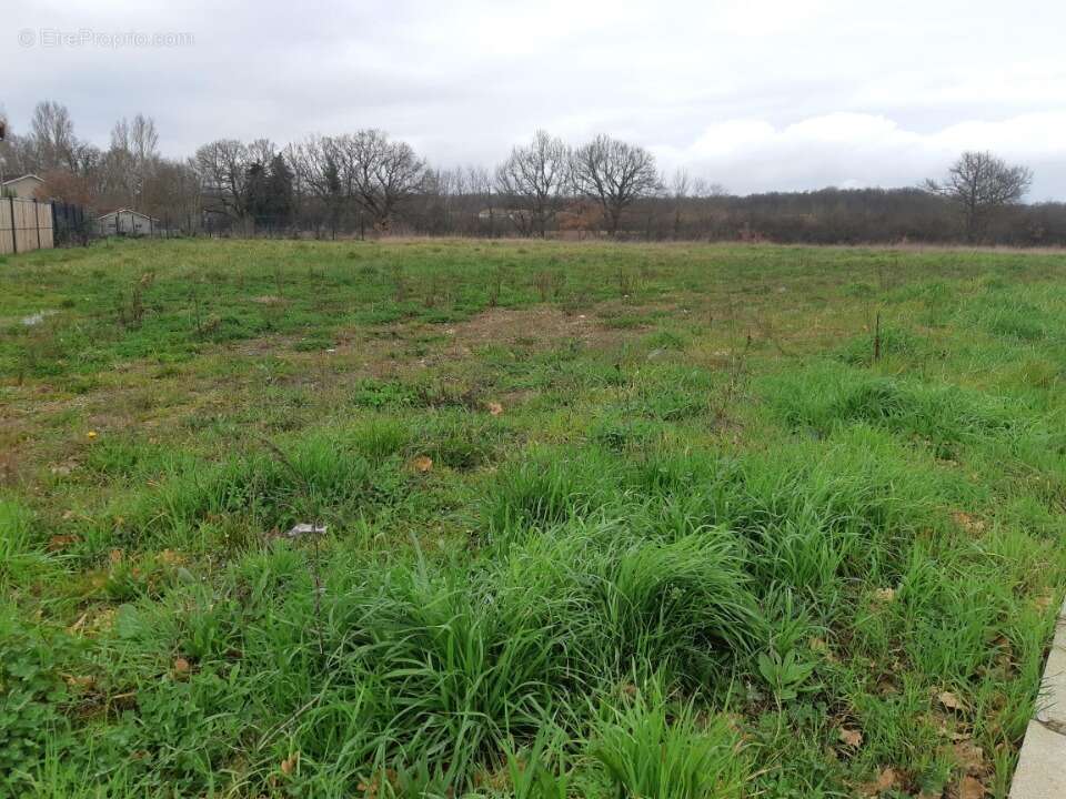 Terrain à GRATENTOUR