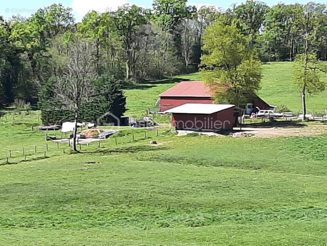 Terrain à CHAILLAC-SUR-VIENNE
