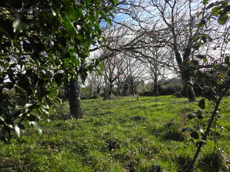 Terrain à bâtir - photo 2
