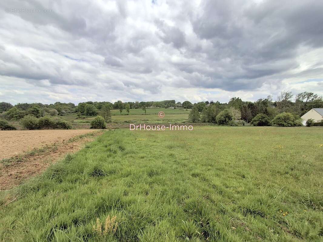 Terrain 17195 m² à Parigny  - photo 9