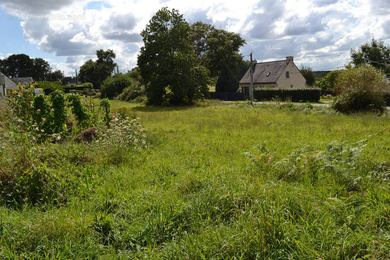Terrain à SAINTE-MARIE