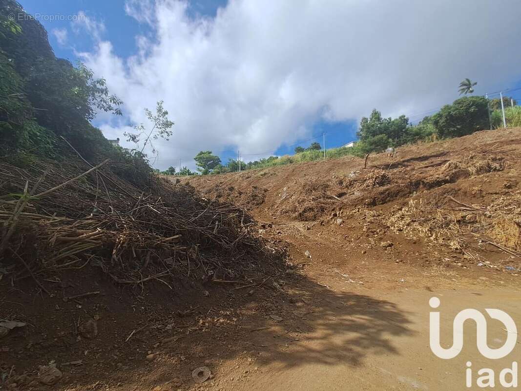 Photo 3 - Terrain à SAINT-PAUL