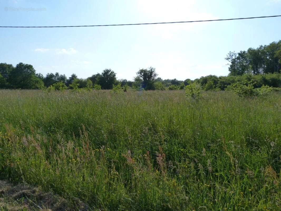 Vente Terrain Vignoux-sur-barangeon(18500) 59 900ï¿œ - photo 2
