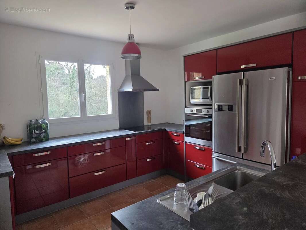 Maison à MONTRICOUX