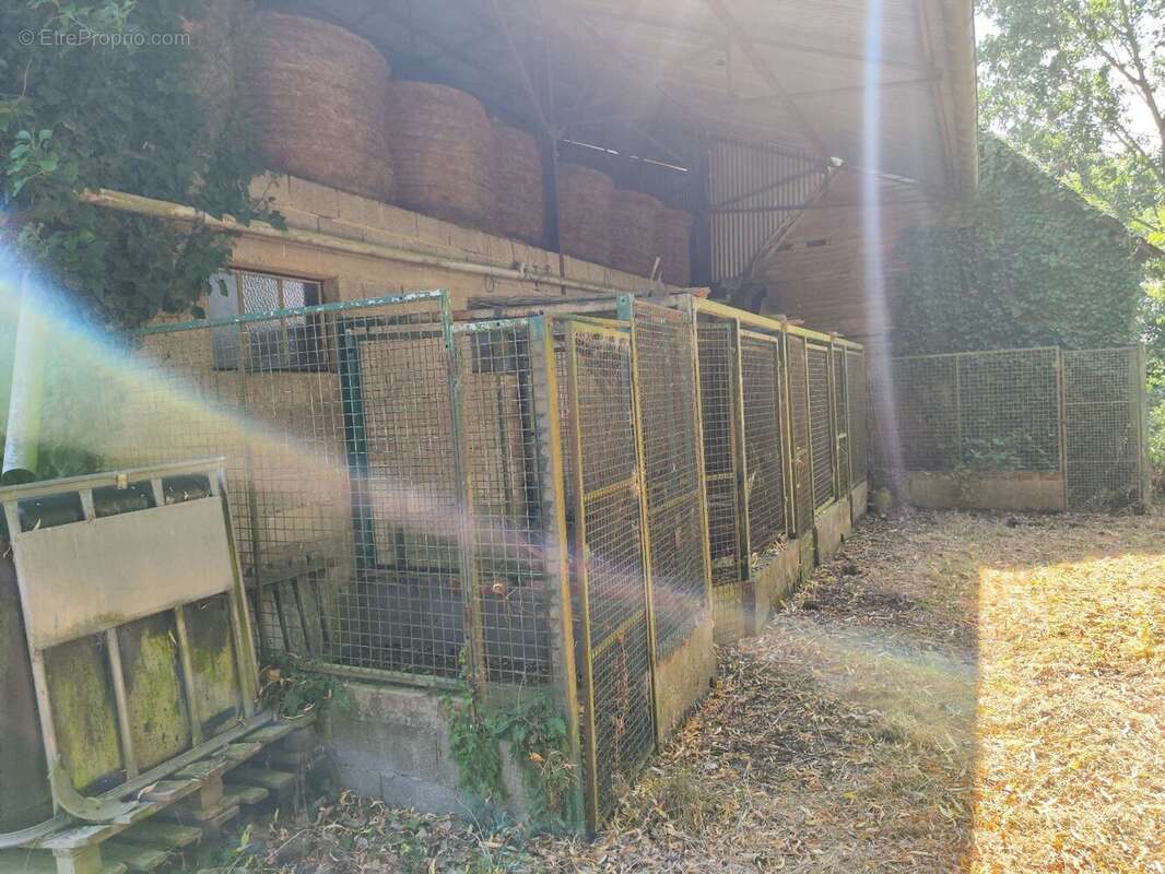 Sur plus de 3 ha de terrain, agréable maison avec dépendances - photo 28