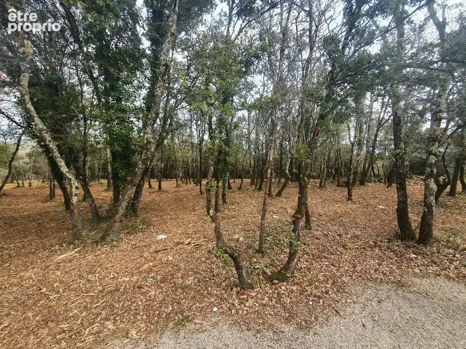 Terrain 1 250 m² à vendre à Labastide-De-Virac (07150) - photo 1