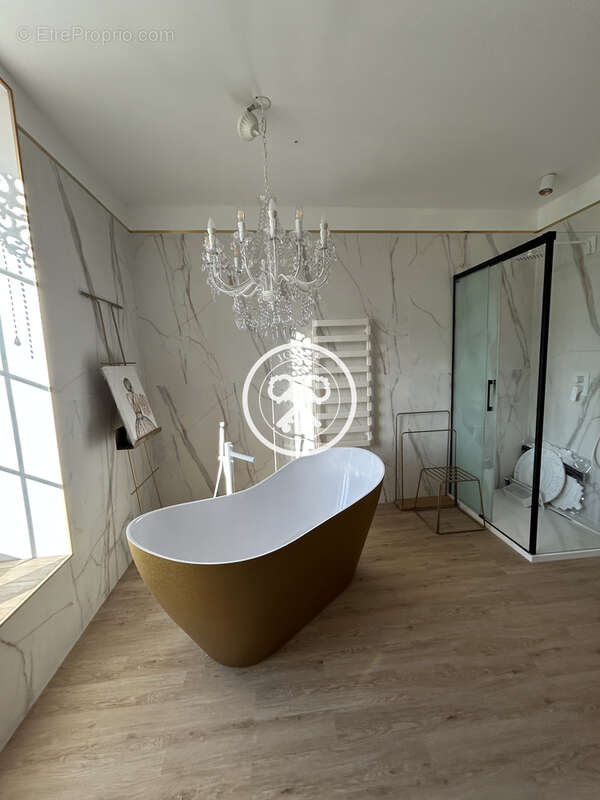 Manoir secteur bar-sur-aube - photo 9