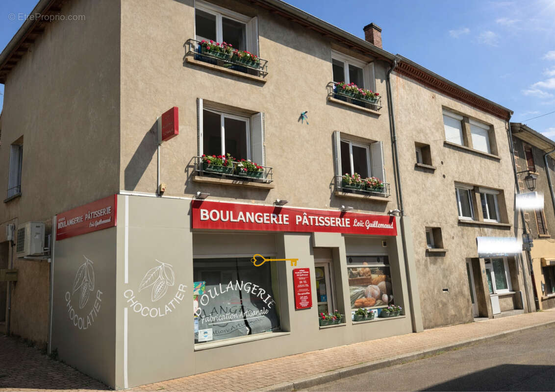 Commerce à CHAVANAY