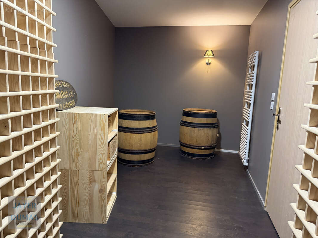 CHALON-SUR-SAONE - Magnifique Maison de ville traitée comme un Loft  - Grand Garage - - photo 27