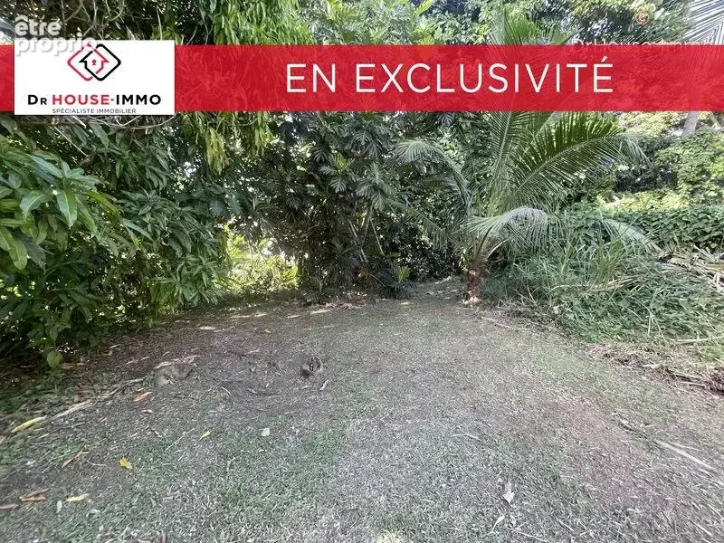 Terrain 1 232 m² à vendre à Sainte-Rose (97115) - photo 6