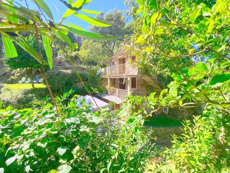 Appartement à OLETTA