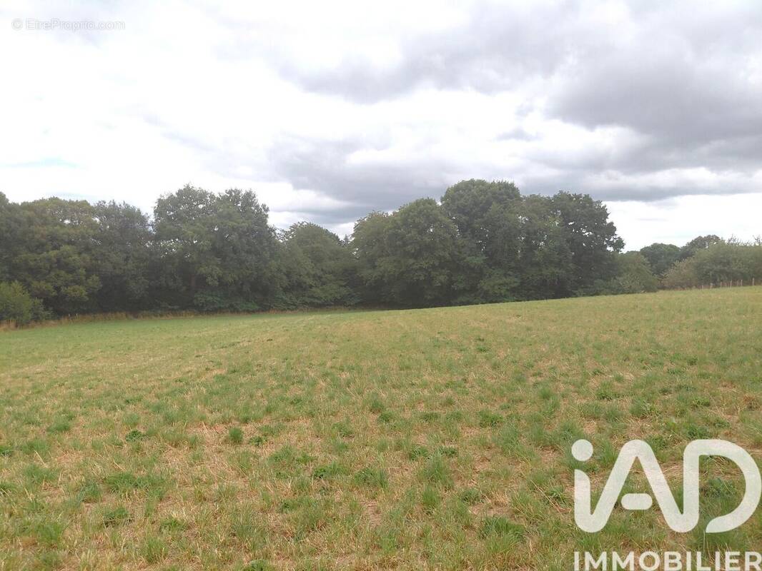 Photo 1 - Terrain à ROYERES