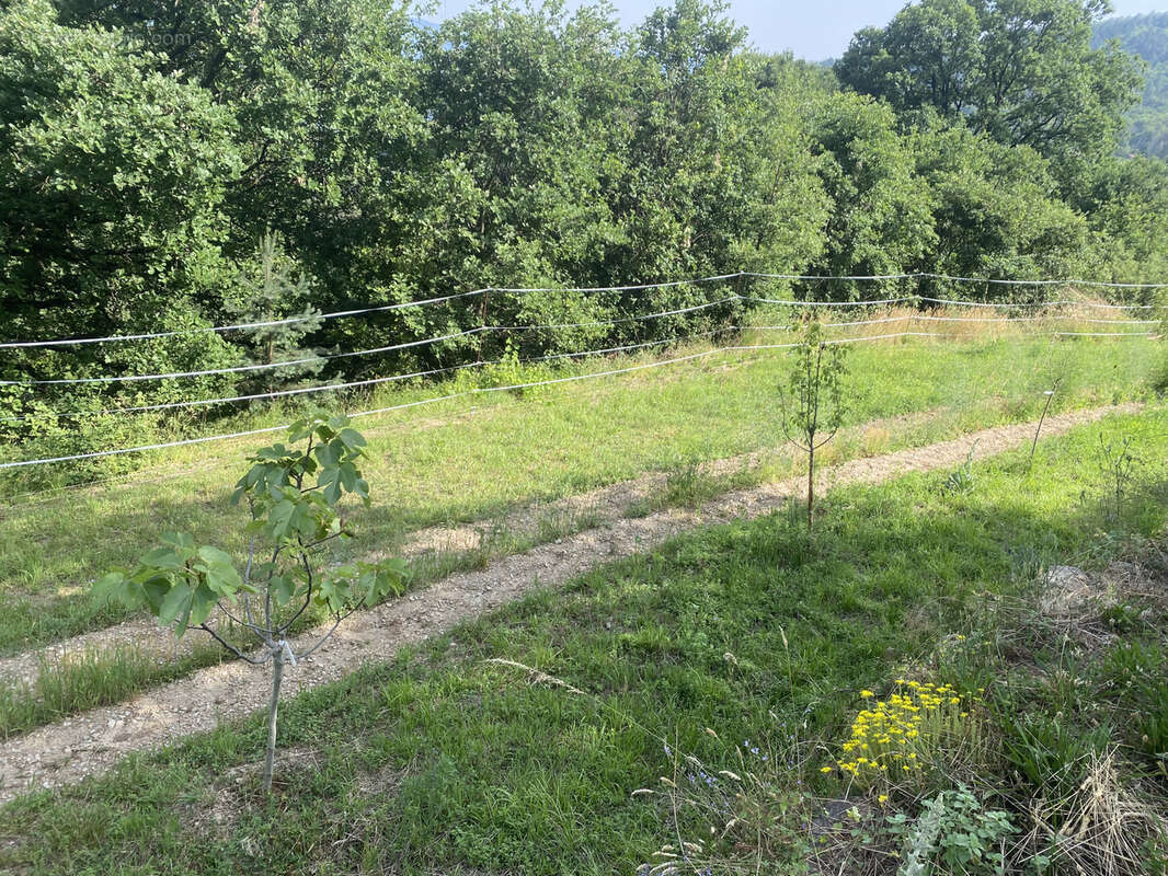 Maison à LE COLLET-DE-DEZE