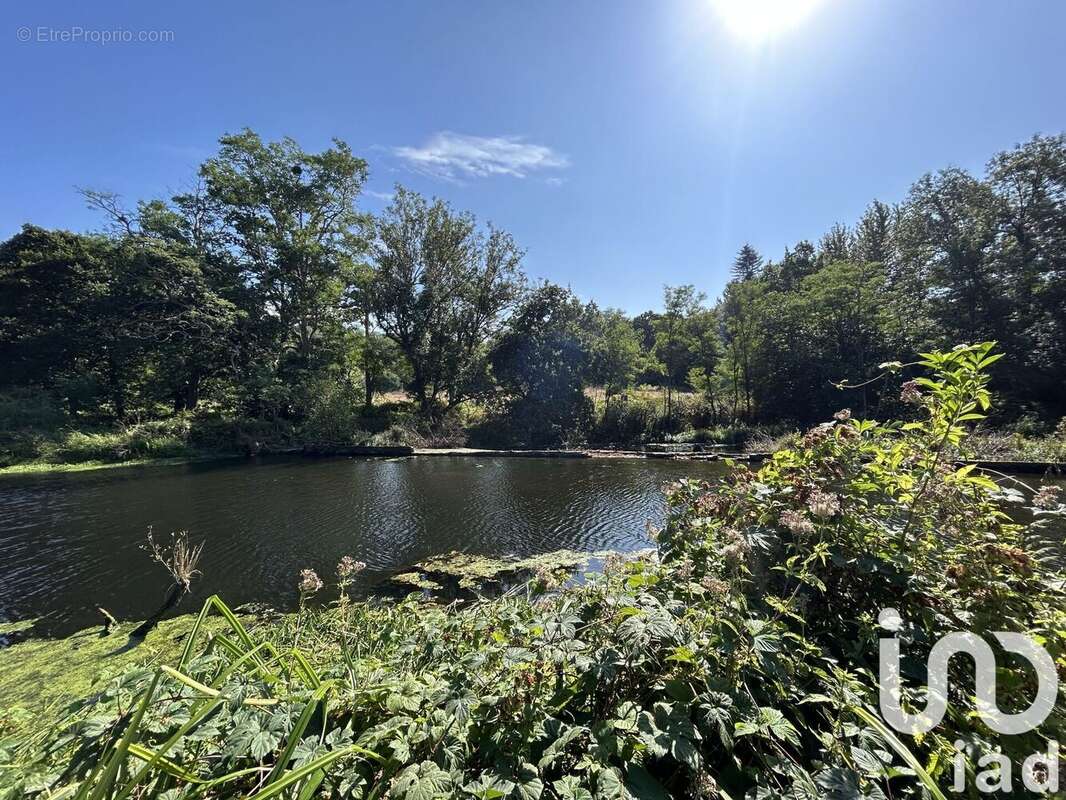 Photo 3 - Maison à SAINT-CLET