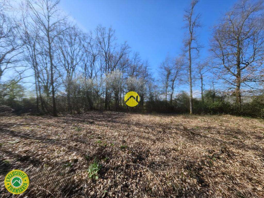 Terrain à LA GUERCHE-SUR-L'AUBOIS