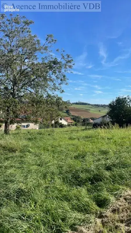 terrain constructible à vendre à BOUXIERES AUX CHENES - photo 4