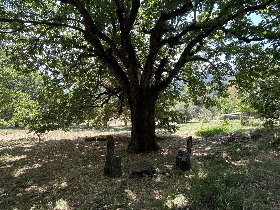 EXCLUSIVITÉ Maison en pierre 335m2 avec 1ha - 04 Alpes-de-Haute-Provence - photo 42