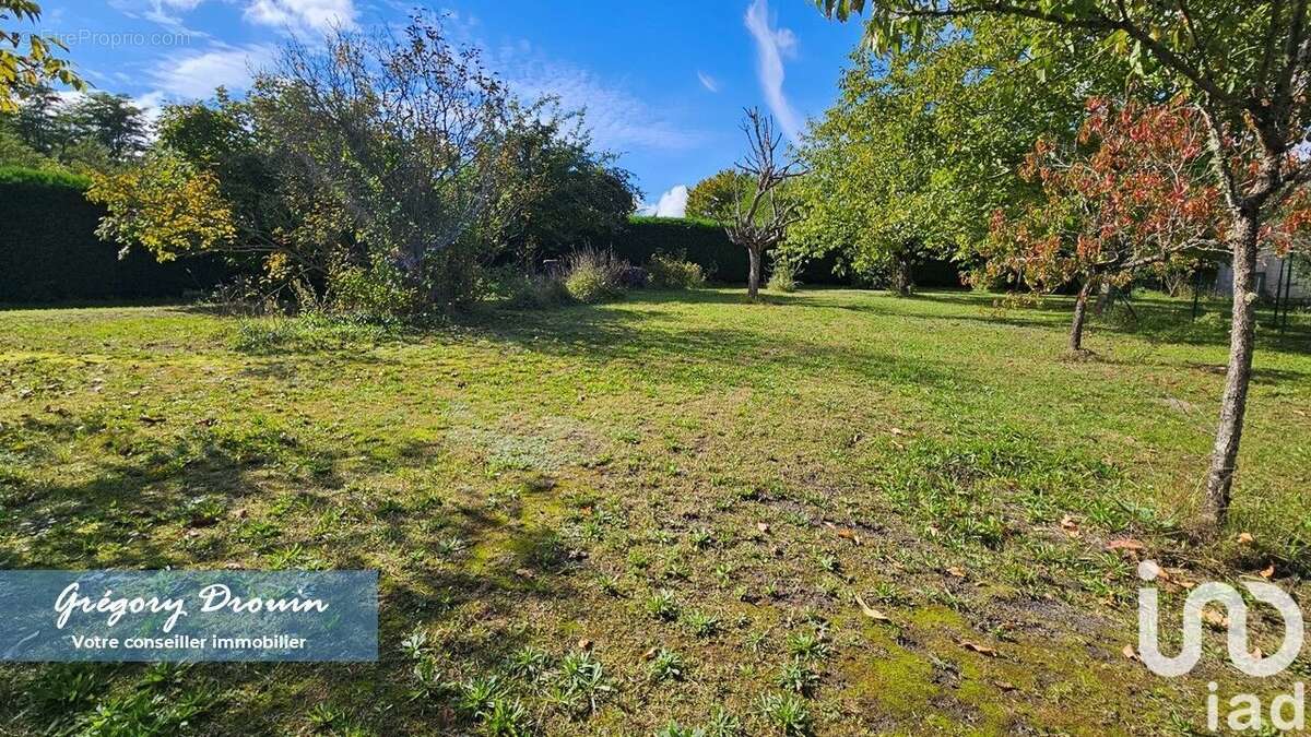 Photo 5 - Maison à LARCHANT