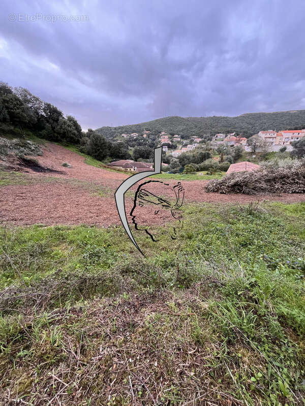 Terrain à ALATA