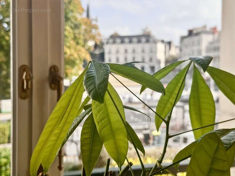 Appartement à ANGERS