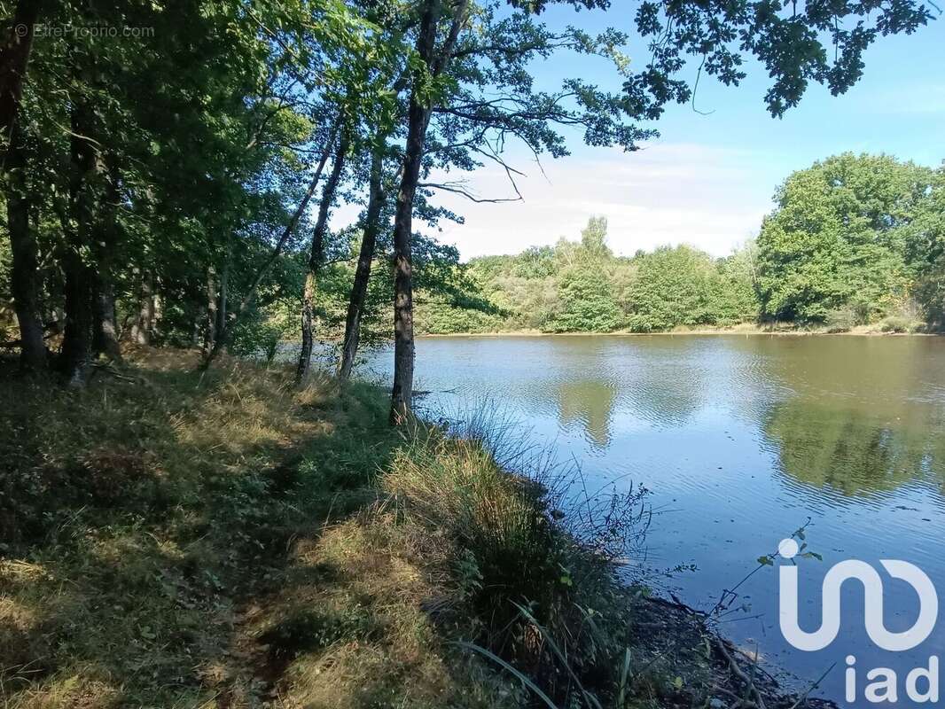 Photo 6 - Terrain à BORD-SAINT-GEORGES