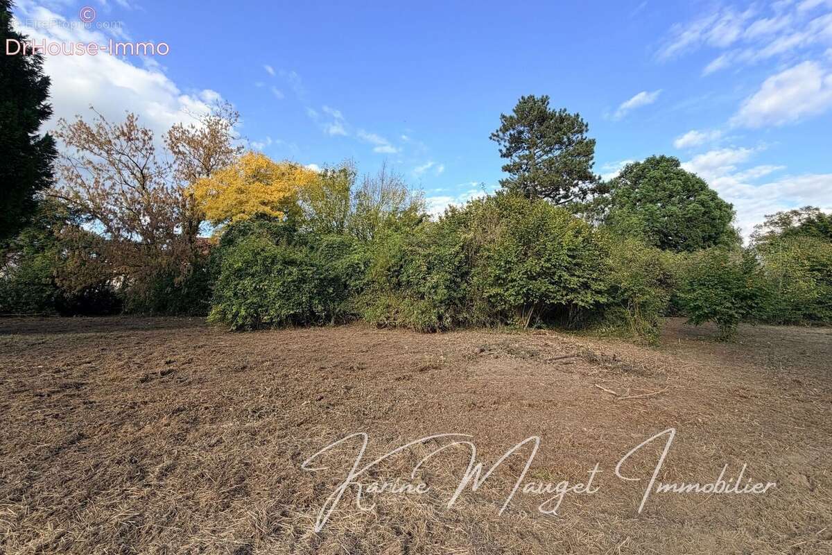 Terrain à LUMIGNY-NESLES-ORMEAUX