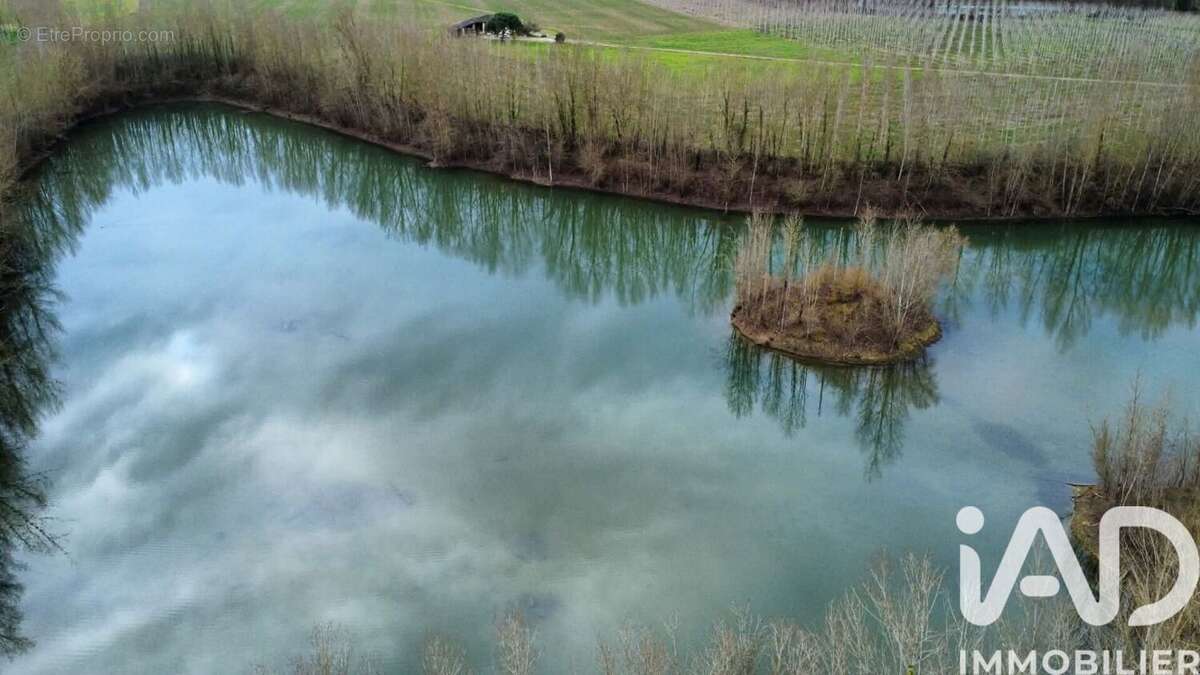 Terrain 125000 m² à Castelferrus  - photo 2
