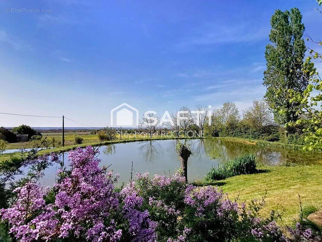 Maison 240 m² à Revel-Tourdan  - photo 7