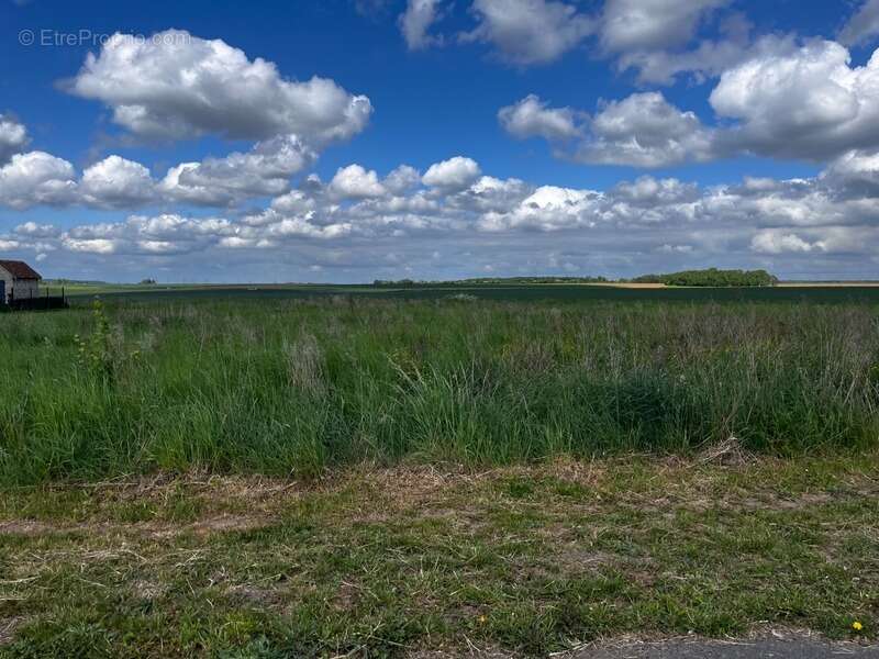 Terrain à PORCHEUX